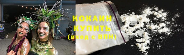 шишки Армянск