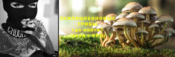 шишки Армянск