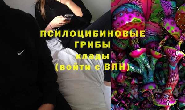 соль ск Аркадак