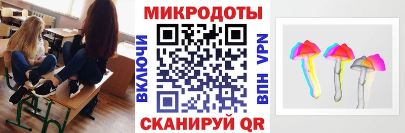 Псилоцибиновые грибы Psilocybe купить наркотик Сатка